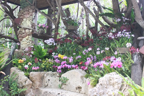 ビオスやすらぎの時2024