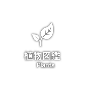 植物図鑑
