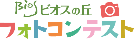 フォトコンテスト