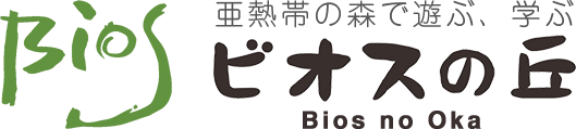 ビオスの丘 - 亜熱帯の森で遊ぶ、学ぶ