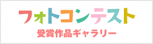 フォトコンテスト
