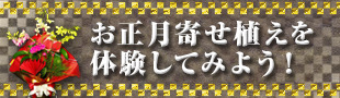 10名限定♪お正月寄せ植え教室