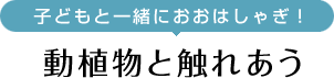 動植物と触れあう
