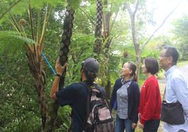 亜熱帯植物を観察する参加者