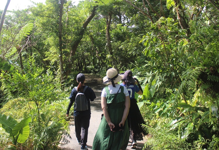 ビオスの丘 南三天御廻｜亜熱帯の森を歩く90分ガイドツアー