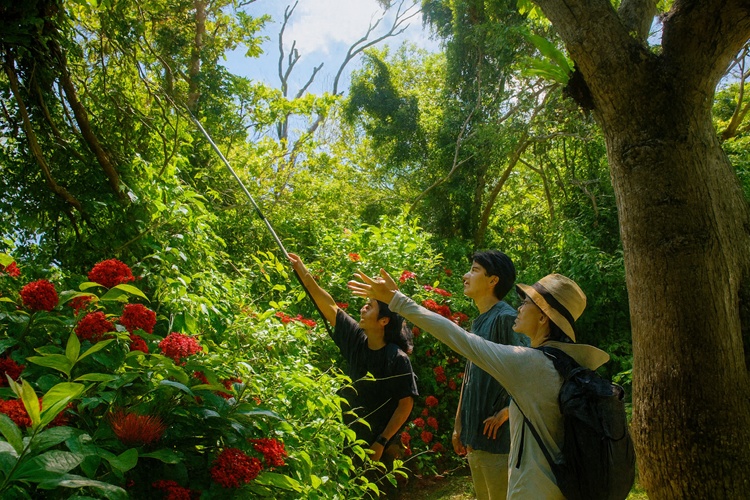 ビオスの丘 道三天御廻｜森と湖をめぐる120分ガイドツアー