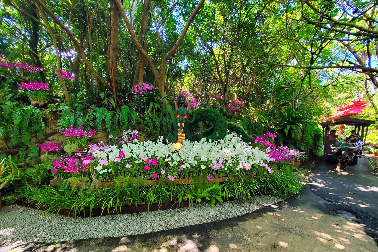 沖縄・ビオスの丘 らんの花祭り 秋｜白と紫の蘭と龍のトピアリー
