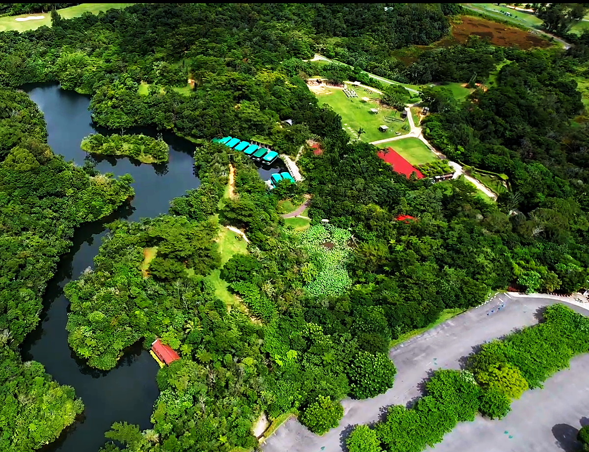 沖縄・うるま「ビオスの丘」の園内を空撮した風景。湖面と森、湖水観賞舟が見える。