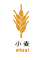小麦