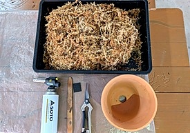 植替え体験で使用する資材(素焼き鉢・水苔・ハサミ・ラベル)