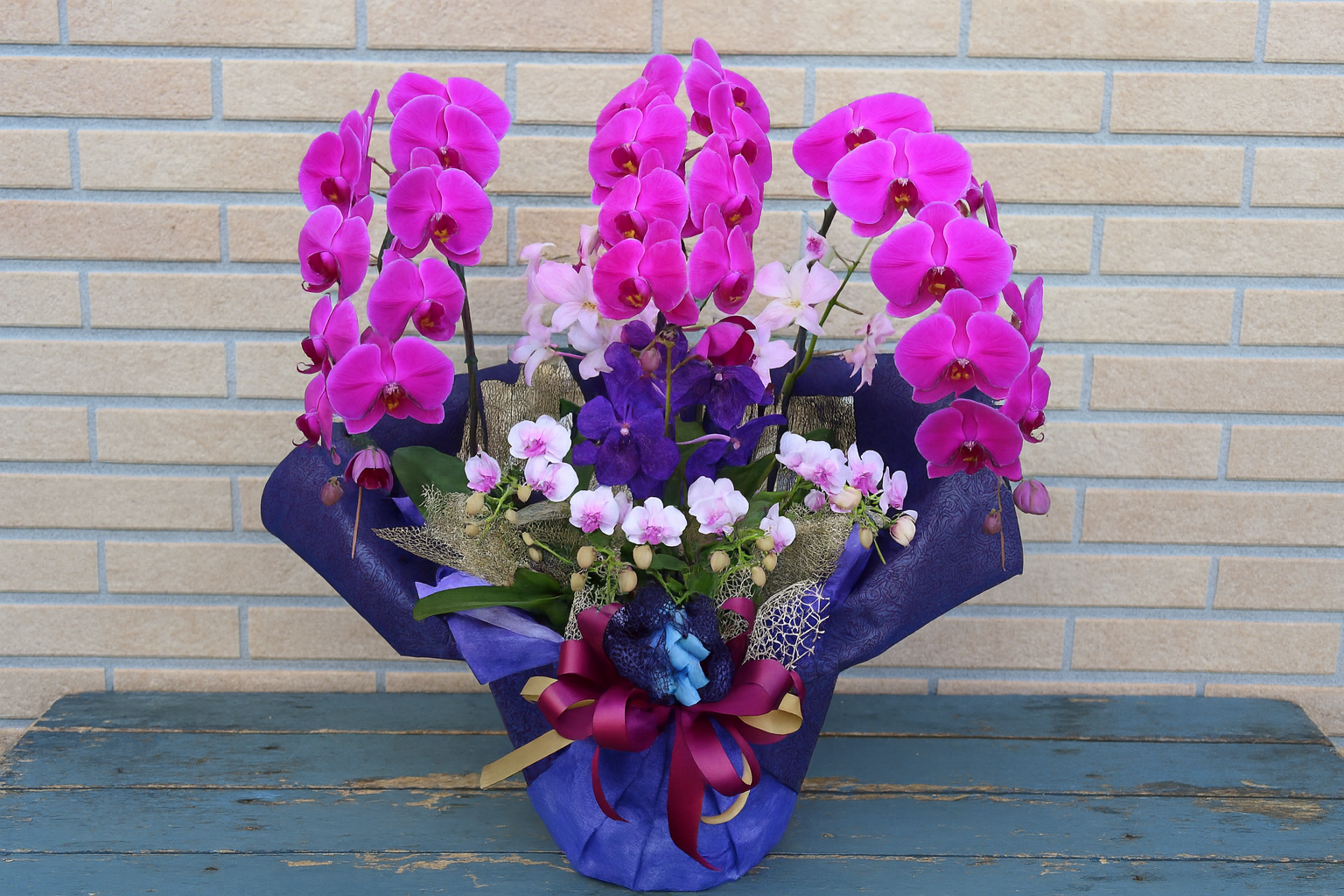 贈答・ご挨拶に贈る胡蝶蘭の寄せ植えギフト｜ビオスの丘 花織売店