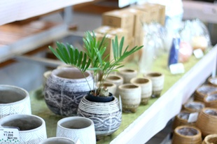 観葉植物と柄入り陶器鉢が並ぶ花織売店の観葉コーナー｜ビオスの丘