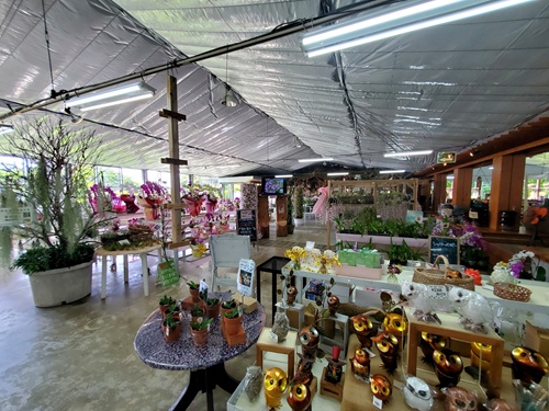 ギフト用の蘭や雑貨が並ぶ花織売店のレジカウンター周辺のようす｜ビオスの丘