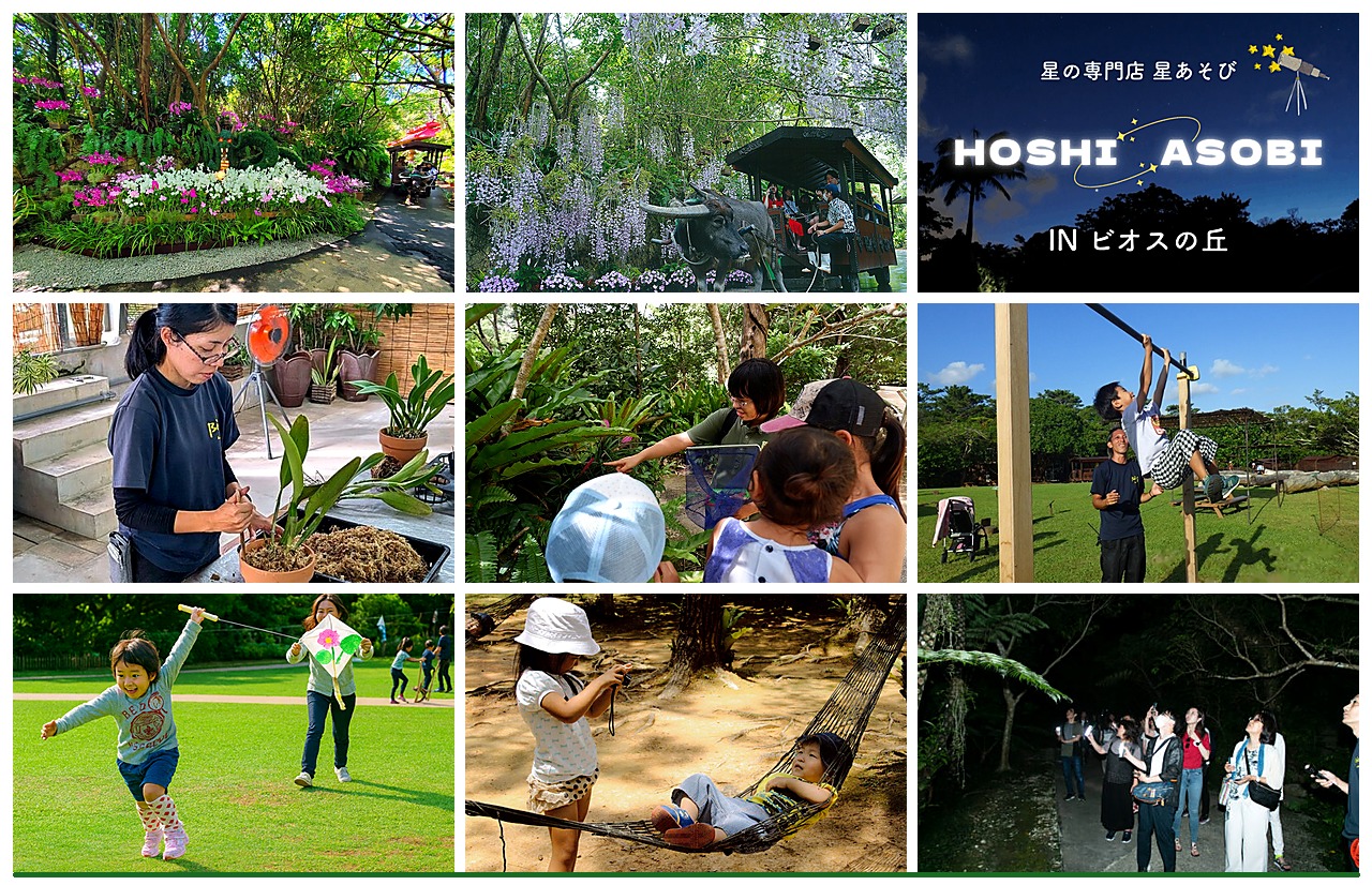ビオスの丘 季節限定イベント情報｜花祭りや星あそびなどの最新スケジュール