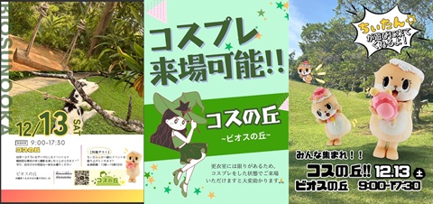 12月13日開催「コスの丘!! in ビオスの丘」の告知用3枚組イメージ。左に日付入りイベント告知、中央にコスプレ来場可能の案内、右に芝生の上でちぃたん☆が立つポスター。