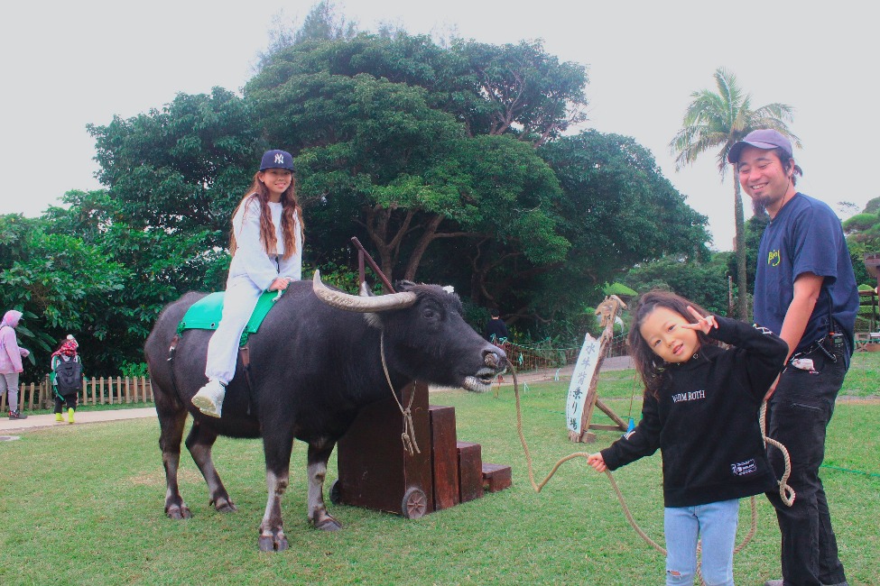 水牛背乗り体験｜家族で記念撮影しながら水牛とふれあえる様子
