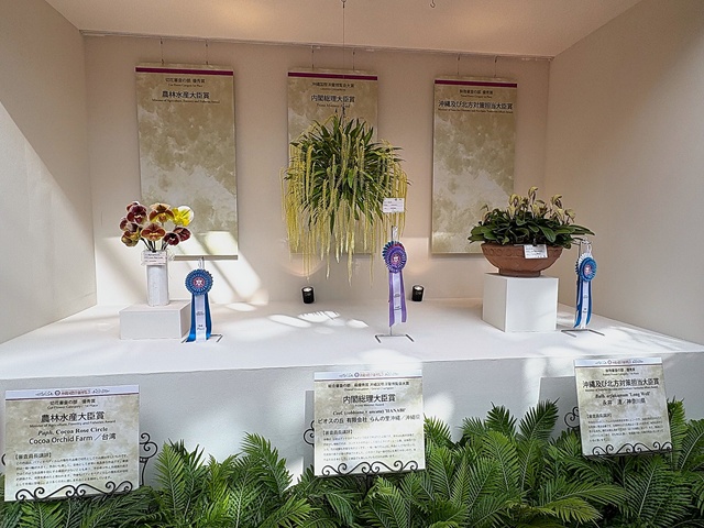 沖縄国際洋蘭博覧会2026 大賞（内閣総理大臣賞）受賞展示の全景｜複数の受賞作品とリボンが並ぶ展示