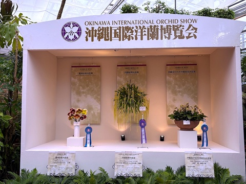 沖縄国際洋蘭博覧会（OKINAWA INTERNATIONAL ORCHID SHOW）の会場サインと受賞展示ブースの全景