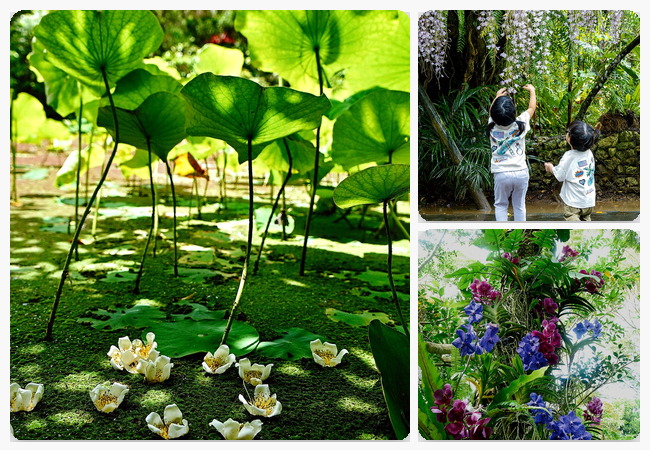 ビオスの丘の園内風景フォトコラージュ（フォトコンテスト2026 メインビジュアル）