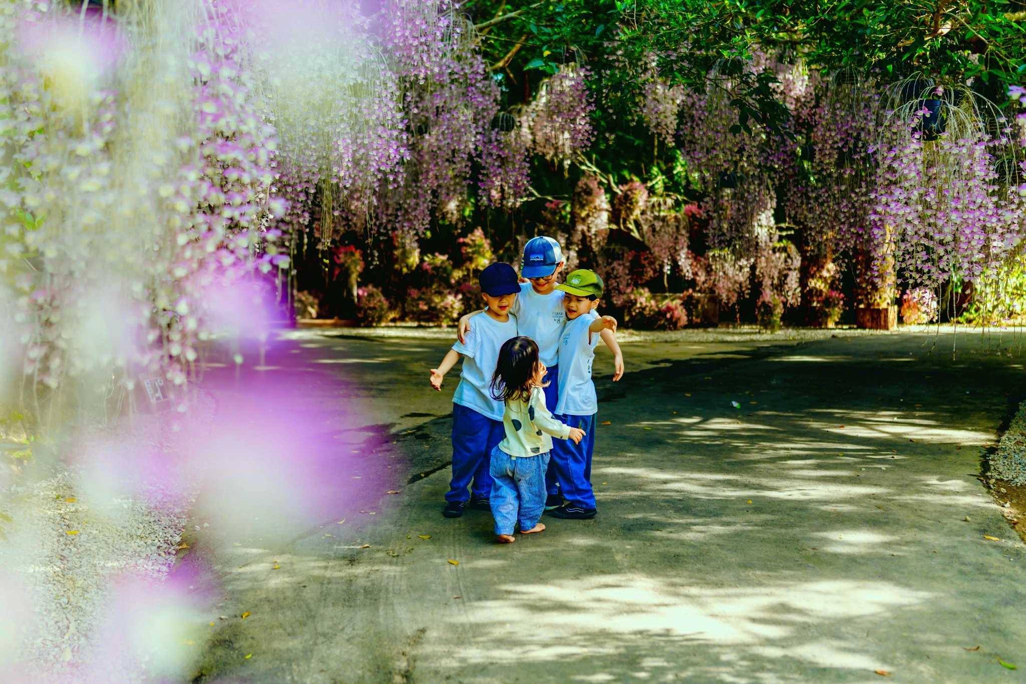 花房が垂れる園路で子どもたちが集い楽しむ様子（ファミリーでの花見）