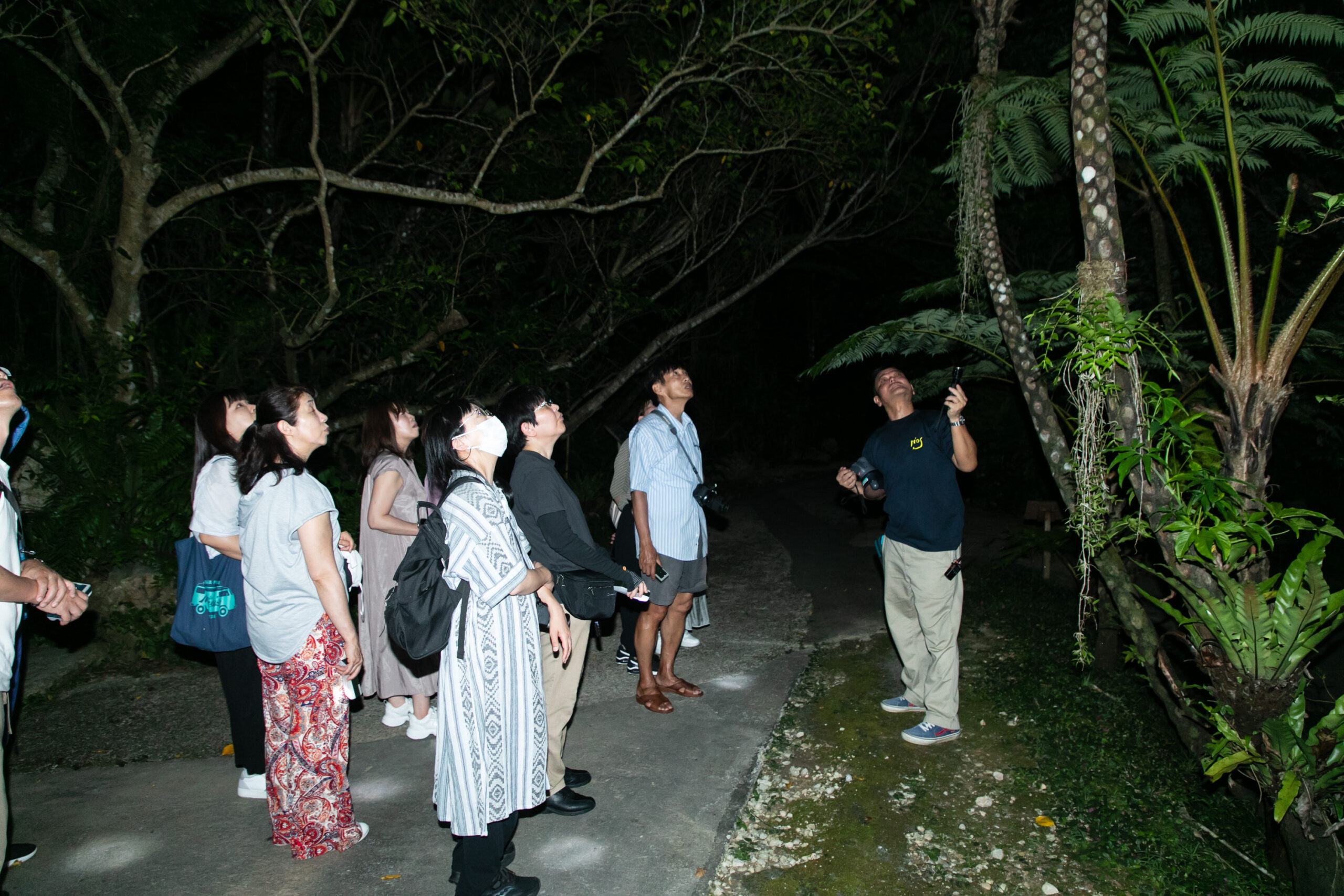 夜のビオスの丘を歩くナイトウォークの様子