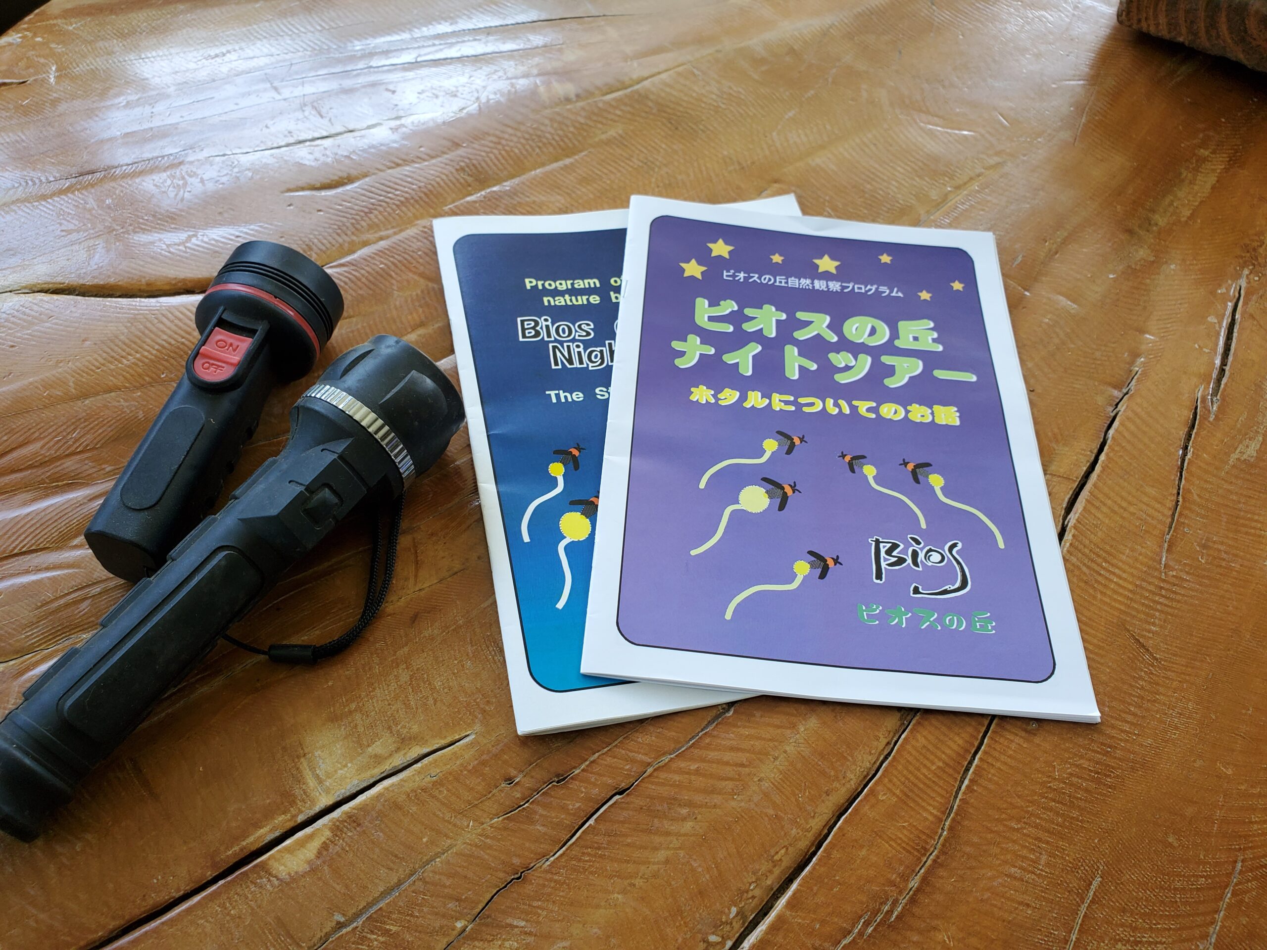 参加特典：ナイトツアー栞