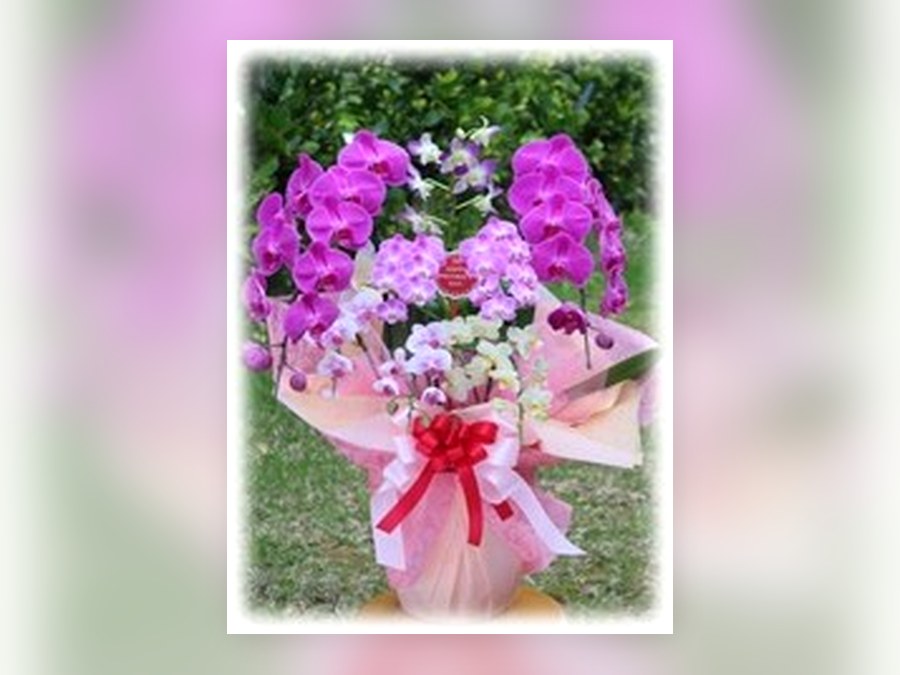 母の日ギフト用のオブジェらん