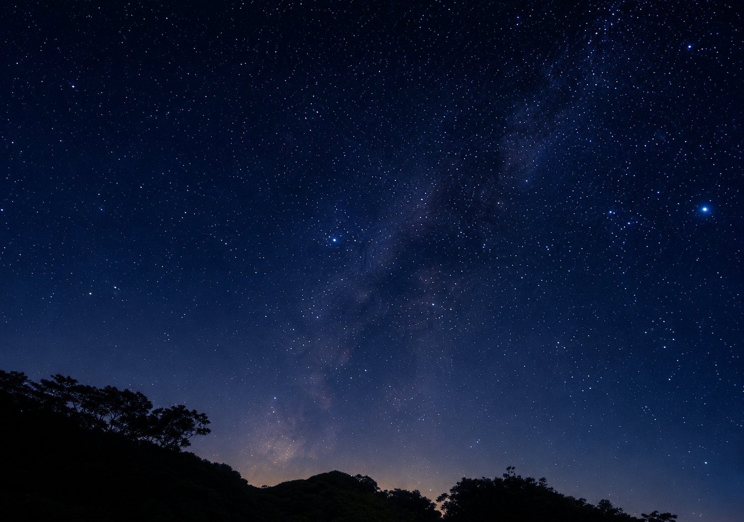 夏の夜空に広がる星座を楽しむビオスの丘 星あそびのイメージ