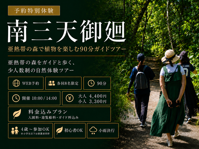 南三天御廻 亜熱帯の森で植物を楽しむ90分ガイドツアー WEB予約 各回8名限定 初心者OK 小雨決行