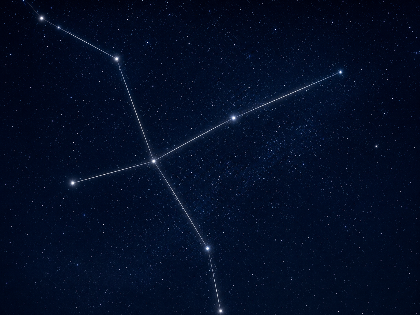 望遠鏡で夏空の宝石アルビレオを観望するビオスの丘 星あそびイベントのイメージ