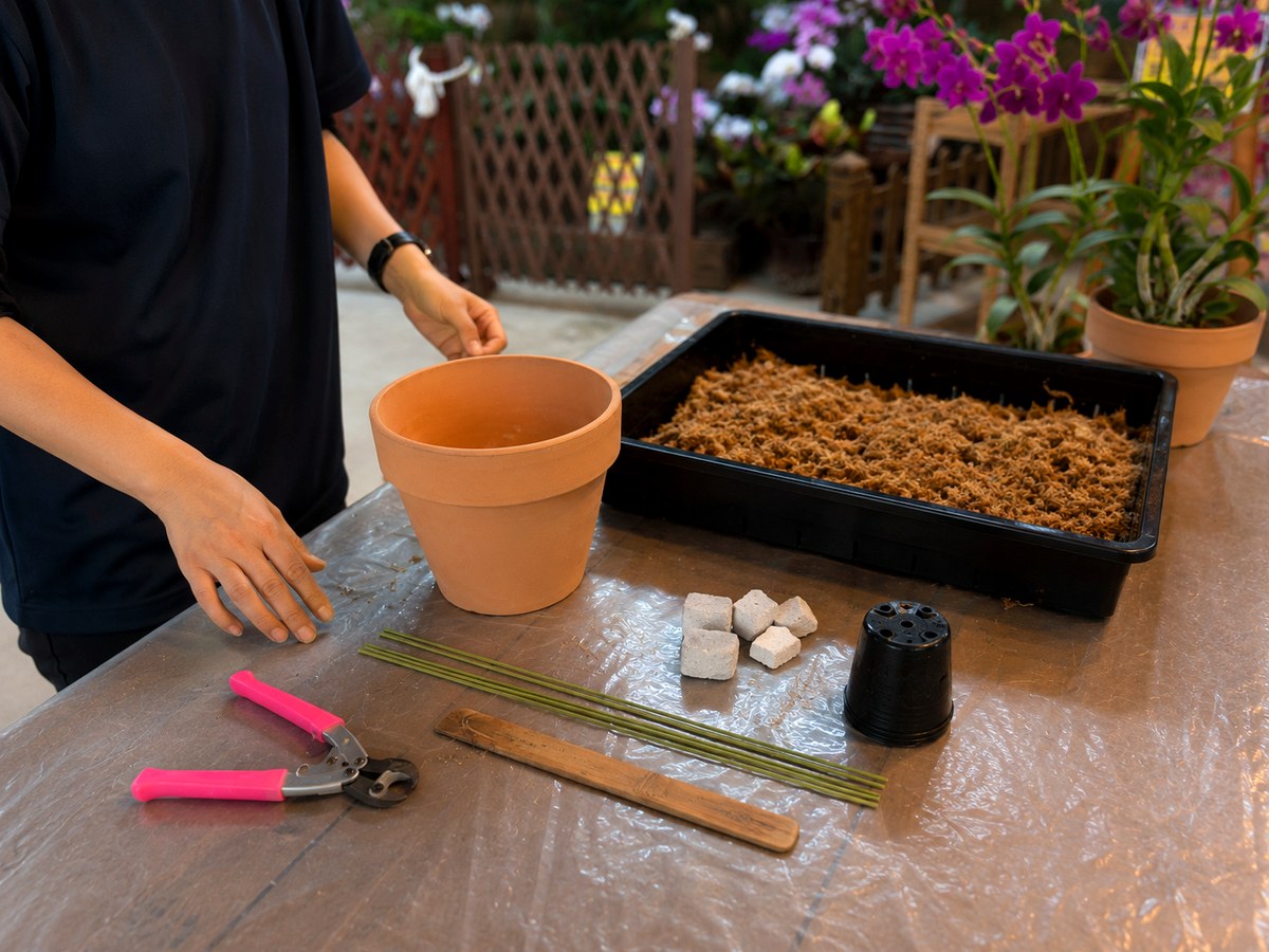 デンファレ寄せ植え体験で使用する資材
