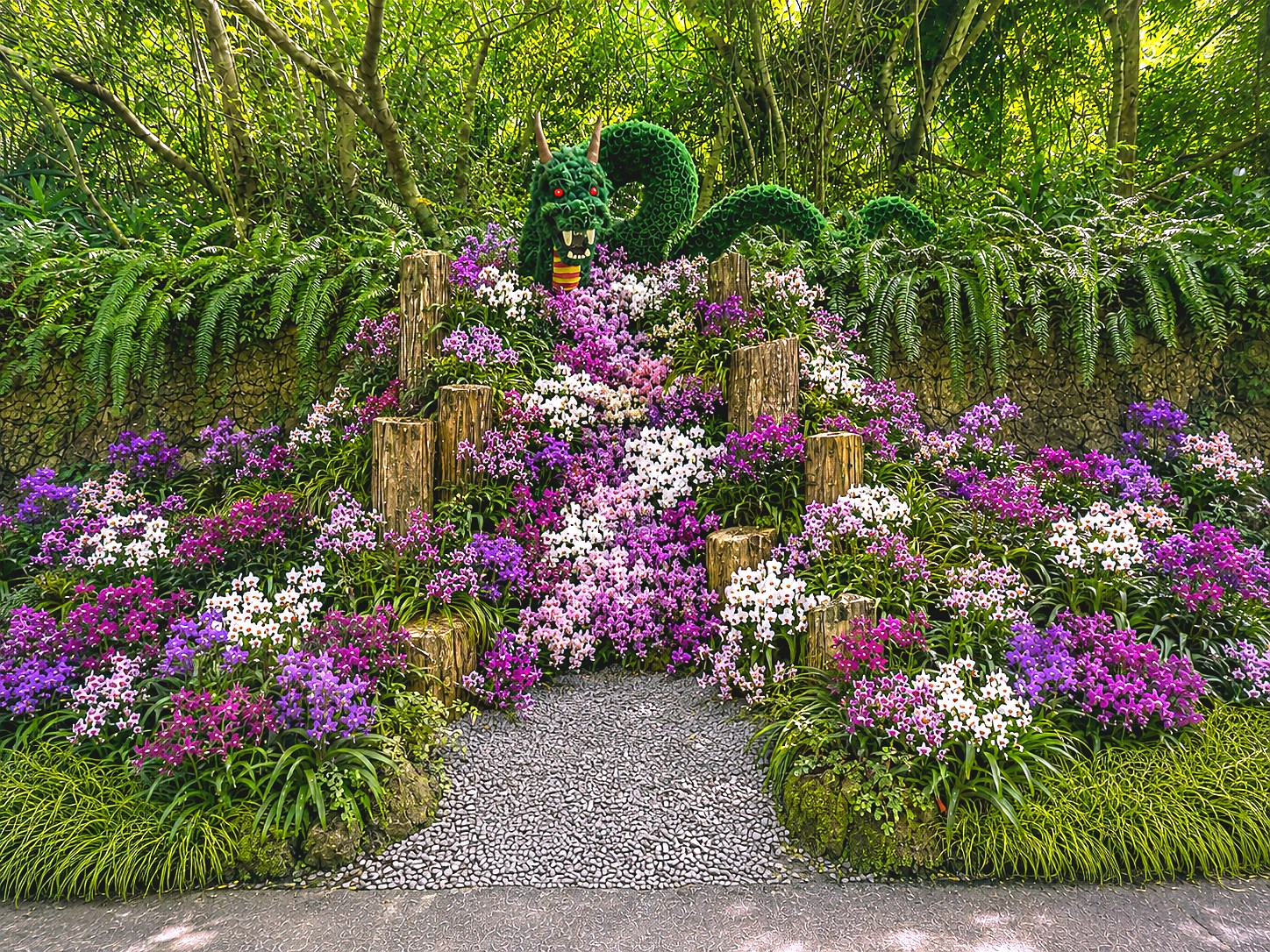 デンファレの花々と大龍王