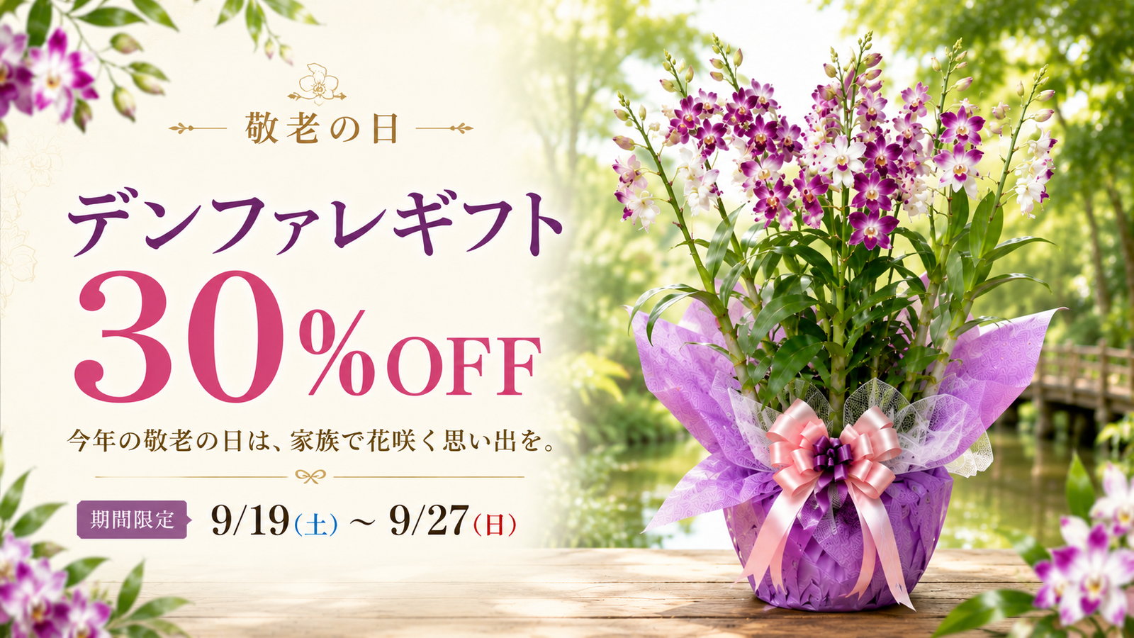 デンファレギフト 30％OFF