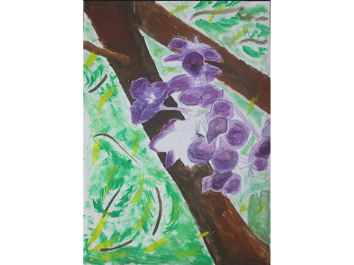 5年生の部 優良賞 比嘉 茉莉さんの作品